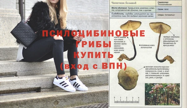 амф Магадан