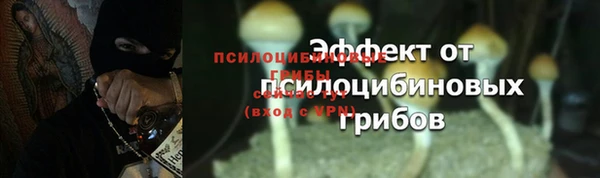 амф Магадан