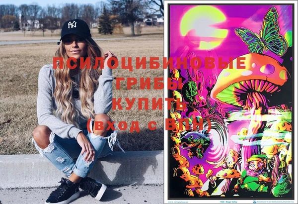 амф Магас