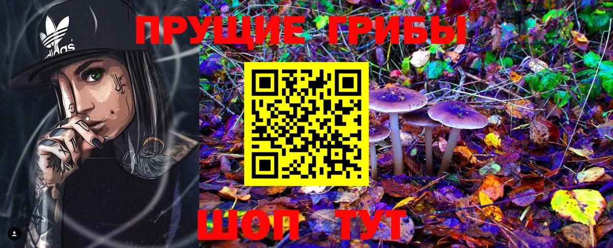 где купить наркоту  Архангельск  Псилоцибиновые грибы ЛСД 