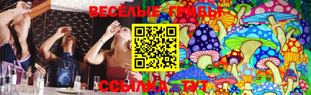 Галлюциногенные грибы мицелий  Псилоцибиновые грибы Cubensis  Вход с VPN  Архангельск 
